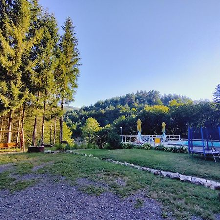 Cabana Cerbu Bozovici Buitenkant foto